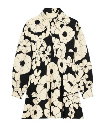 Celine Skater In Black/cream