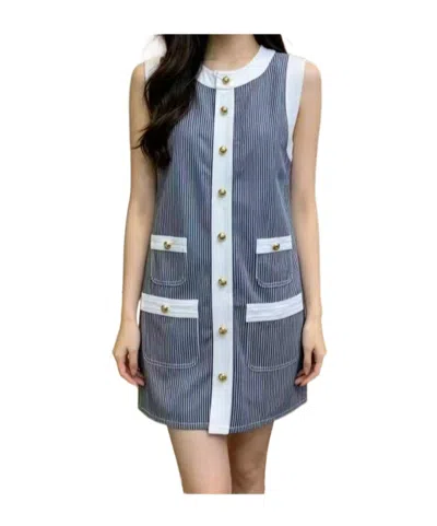 Celine Sleeveless Dress In Gray