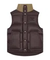 Celine Women Sleeveless Down Jacket With Triomphe Patch In Brown
