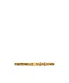 Celine Small Triomphe Belt In Triomphe Canvas With Leopard Print In Gold