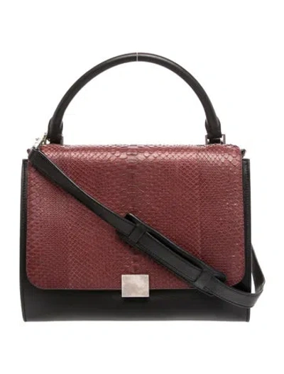 Pre-owned Celine Snakeskin Trapeze Medium In Multi