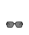 Celine Triomphe Square Acetate Sunglasses In Gray