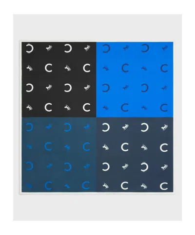 Celine Square In Silk Twill In Multi