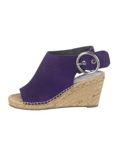Pre-owned Celine Suede Espadrilles In Blue
