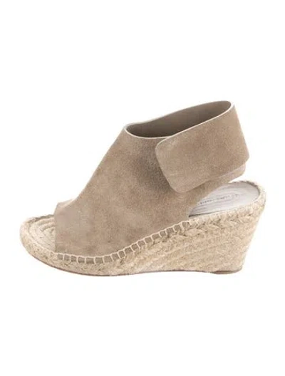 Pre-owned Celine Suede Pumps In Neutrals