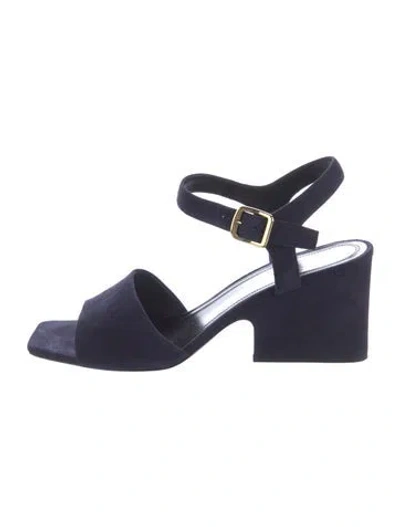 Pre-owned Celine Suede Sandals In Blue