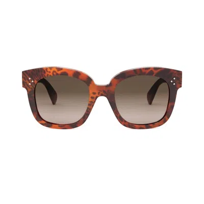Celine Sunglasses In Marrone/marrone Sfumata