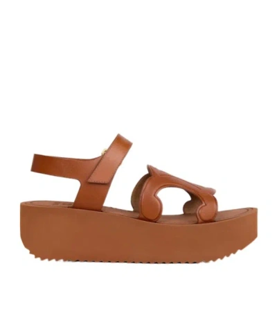 Celine Sunny Sandal In Calfskin - Vegetal Tanning In Brown
