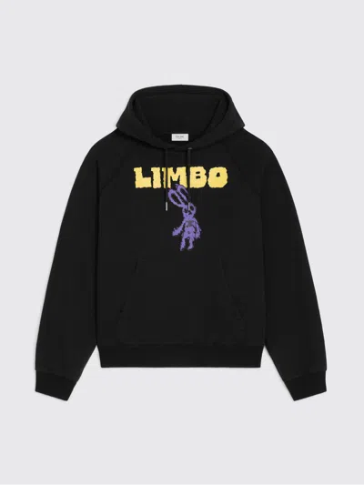 Celine Sweatshirt Men  In Multi