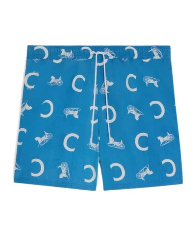 Celine Swimsuit Shorts In Nylon In Blue