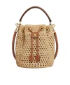 Celine Teen Clara Bag In Raffia And Calfskin