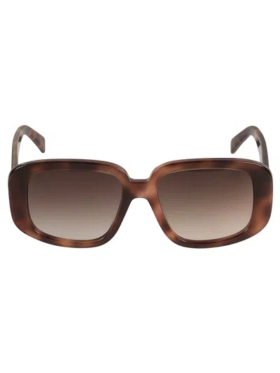 Celine Thick Square Sunglasses In Brown