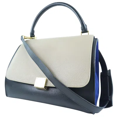Pre-owned Celine Trapèze Leather Handbag () In Multi