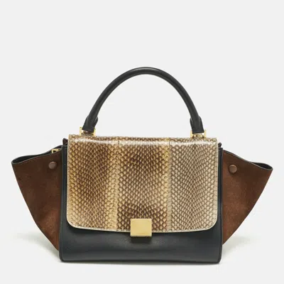Pre-owned Celine Tricolor Leather And Snakeskin Small Trapeze Top Handle Bag In Multi
