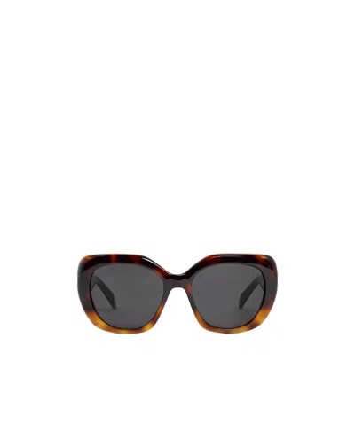 Celine Triomphe 06 Sunglasses In Brown