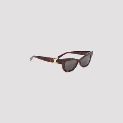 Celine Triomphe 19 Acetate Sunglasses In Brown