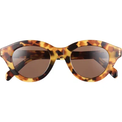 Celine Triomphe 47mm Small Pantos Sunglasses In Blonde Havana/brown