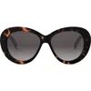 Celine Triomphe Logo Oval Acetate Sunglasses