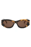 Celine Triomphe Cat-eye Sunglasses In Blonde Havana/brown