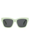 Celine Triomphe 55mm Round Sunglasses In Shiny Light Green/smoke
