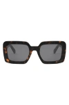 Celine Triomphe Acetate Square Sunglasses In Dark Havana/smoke
