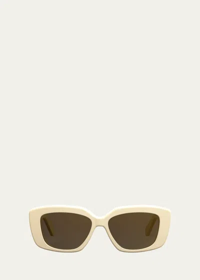Celine Triomphe Acetate Butterfly Sunglasses In Ivry/brn