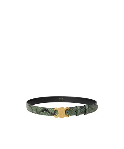 Celine Triomphe Belt 25 In Python In Green