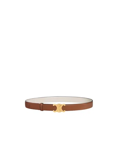 Celine Triomphe Buckle  Reversible Strap 25mm In Multi