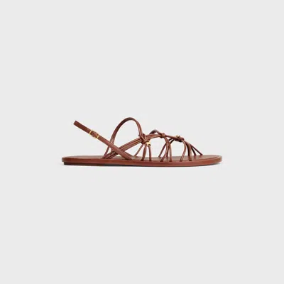Celine Knots Triomphe Flat Sandal In Goatskin In Brown