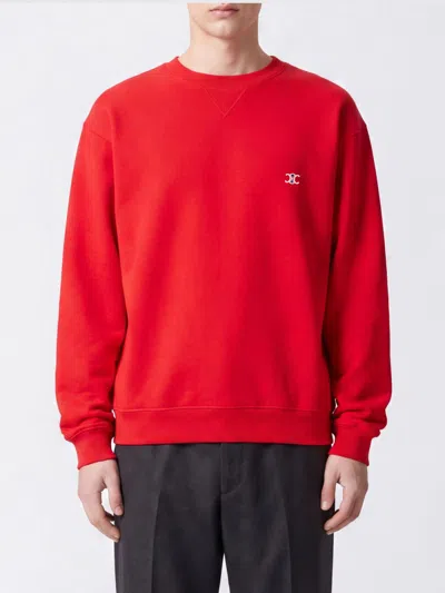 Celine Triomphe Logo Contrast-embroidered Cotton Crewneck Sweatshirt In Animal Print