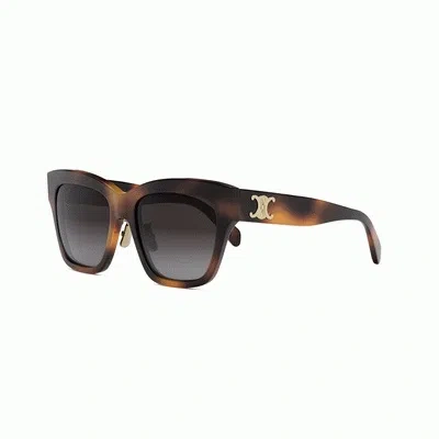 Celine Triomphe Roviex Gradient Butterfly Ladies Sunglasses Cl40253f 53k 55 In Blue