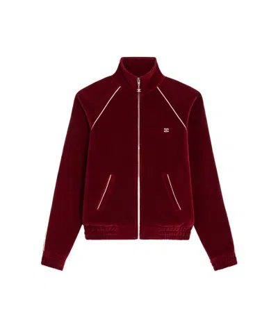 Celine Triomphe Tracksuit Jacket In Velvet Jersey In Red
