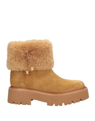 Celine Woman Ankle Boots Camel Size 8 Leather In Brown