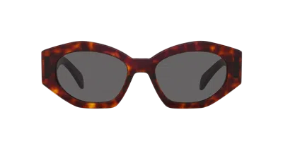 Celine Tortoiseshell Cat Eye Oval Sunglasses In Blue