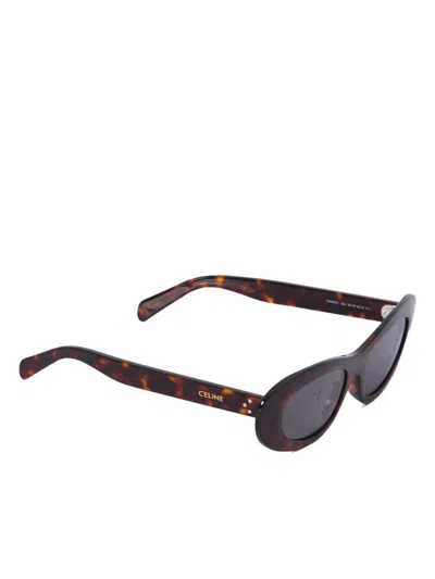 Celine Women Cat Eye Cat Eye S310 Occhiali In Multicolor