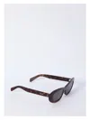 Celine Cat Eye S310 In Brown