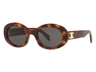 Pre-owned Celine Women's  Cl40194u Sunglasses In Tortoise Blonde/grey (cl000312 4410l1)
