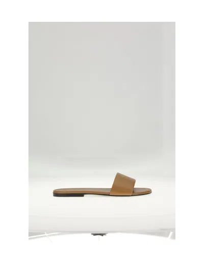 Celine Women Easy Mule 05 In Brown