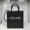 Celine Women Pre-loved Bag Very Good Condition In Multi