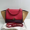 Celine Women Pre-loved Bag Very Good Condition In Multi