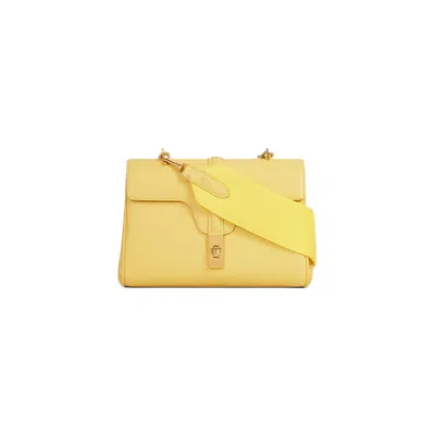 Celine Women's T-shirtn Soft 16 Bag In Acacia