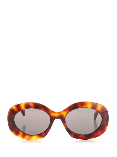Celine Women "triomphe 14" Sunglasses In Multi