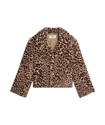 Celine Wool Short Coat In Brown