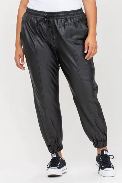 Cello Women's Faux Leather Classic Fit Pants - Plus In Black Leather