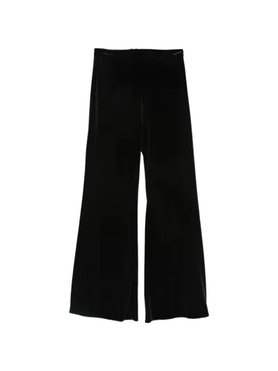 Cenere Velvet Flared Trousers In Black