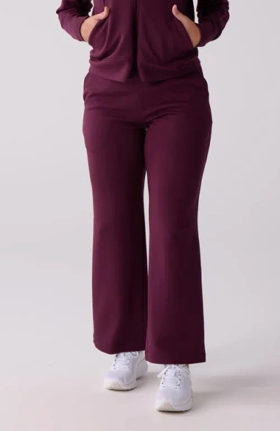 Centerline Athletics Straight Leg Pant In Purple