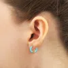 Central Park Tubular Enamel Hoop Earrings In Fancy Green