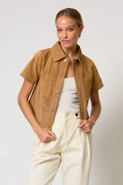 Central Park West Rusty Genuine Suede Ss Jacket In Brown