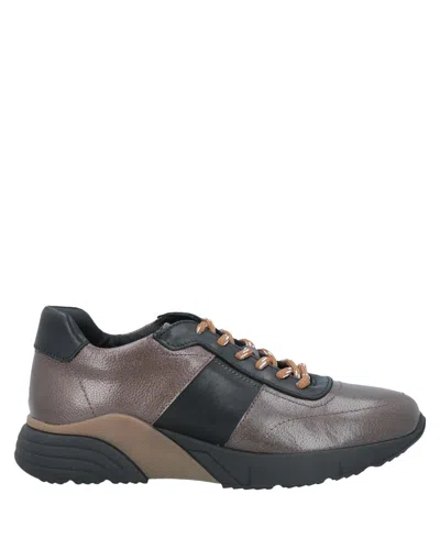 Cerruti 1881 1881 Sneakers In Brown