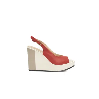 Cerruti 1881 Calfskin Women Women's Sandal